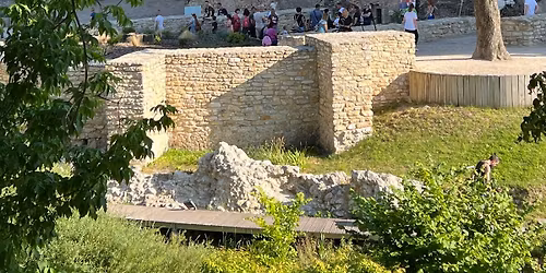 V\u00e1rpalota - \u00c1llatsimogat\u00f3 a Palotai Mustra III. napj\u00e1n