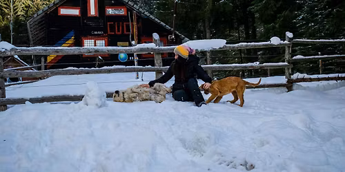 Bucuria Iernii la Cabana Cuca - Muntii Iezer cu TED Adventure