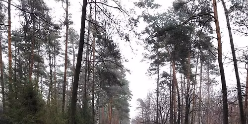 6 Jubileuszowy Bieg Sylwestrowy pami\u0119ci Roberta Dzie\u017cy 5km, 10 km oraz 21,1km