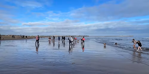 NE November Walk with The Edward Foundation