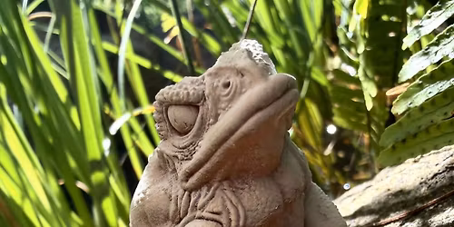 Paints & Pints \u2013 Giant Neotropical Toad