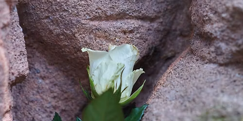Gedenken an die \u00bbFabrik-Aktion\u00ab und den Protest in der Rosenstra\u00dfe 26.