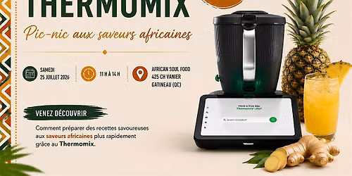 Pic-nic aux saveurs africaines