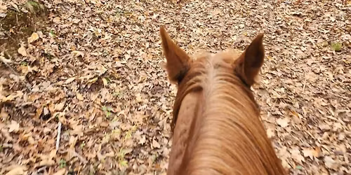 Forsyth GA Trail Ride at South Rockdale Community Park