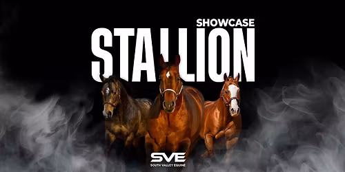 2026 Stallion Showcase
