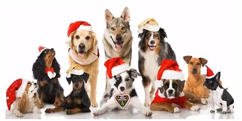 2025 Christmas break-up night