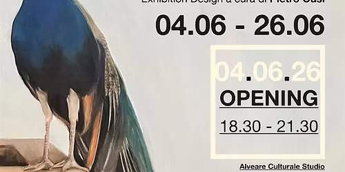 Opening della mostra "Langue Verte" - personale di Giulia Cantarutti