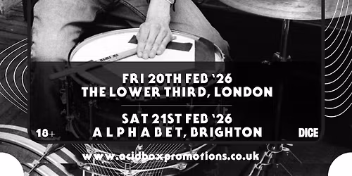 SHOLTO ~ Support ~ Acid Box Presents