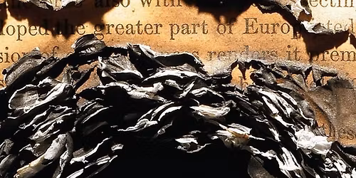 Fantasy Book Club: November