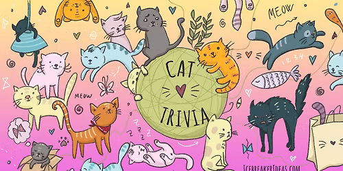 Trivia with Kitties