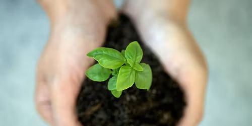 Nurturing Bonds: Supporting Children After Attachment Trauma