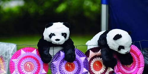 LansuWarkaus 2026 (erkkari)