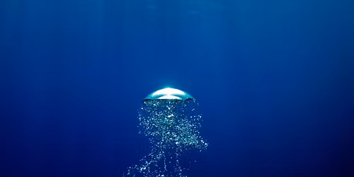 Ocean Optimist Blue Meet-Up