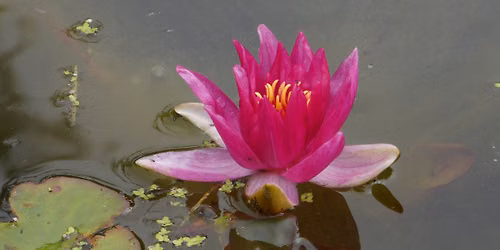 Embracing Silence