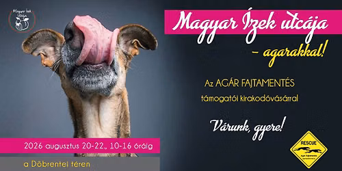 Magyar \u00cdzek Utc\u00e1ja - agarakkal