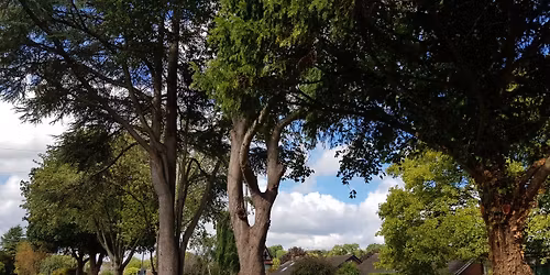 Christmas Jazz Event with food 