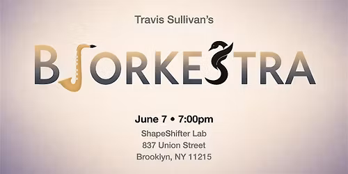 Travis Sullivan's Bjorkestra