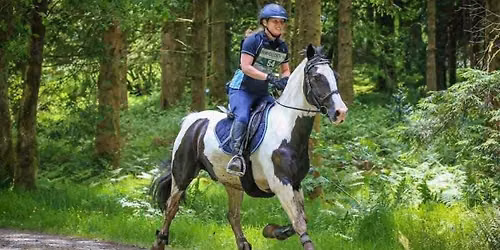 Concrete Cows Endurance ride