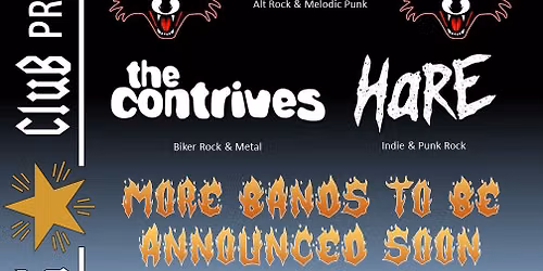 Cottenham Rock Festival 3