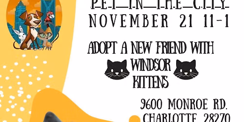 Kittie Adoption Event
