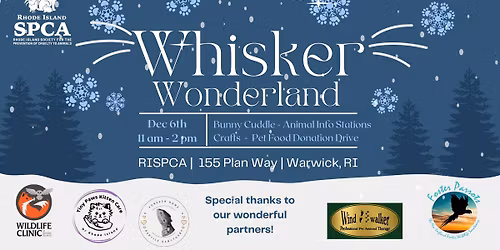 Whisker Wonderland