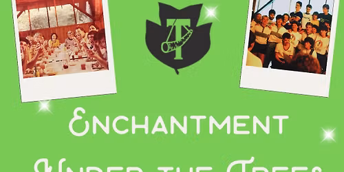 Enchantment Under the Trees