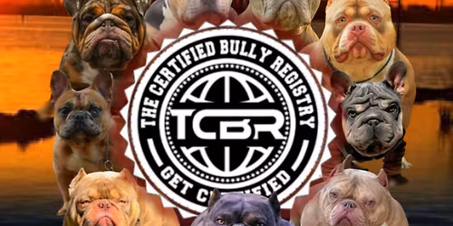 The Dirty Bay Bully Bash Exotic Dog Show 