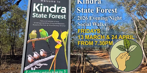Kindra Night Walk