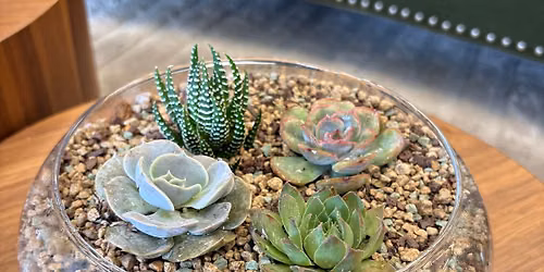 Succulent Garden Workshop