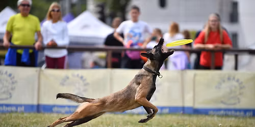 Zawody treningowe DOGFRISBEE edycja 6