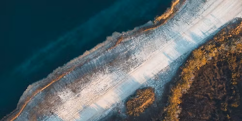 CREATURE FANTASTICHE E DOVE TROVARLE: GLI EFFETTI DELL'EVOLUZIONE NELLE ISOLE