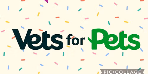 Vets For Pets Gloucester Launch Party