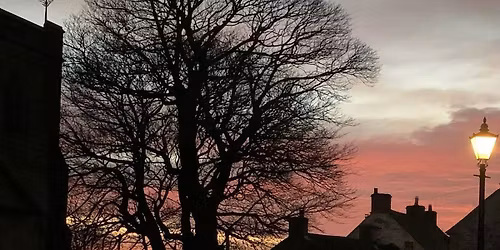 Christmas Tree Switch On