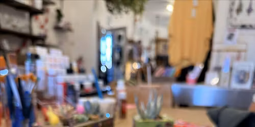 Paint a Pot ( Paint & Sip) Succulent DIY Workshop