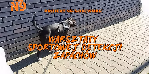 Projekt N9-nosework - Warsztaty Sportowej Detekcji Zapach\u00f3w