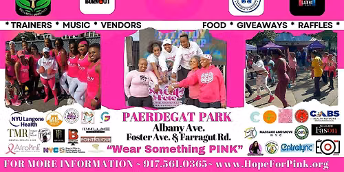 The 11th Annual Sweat Fete Pink Awareness Health & Fitness Event
