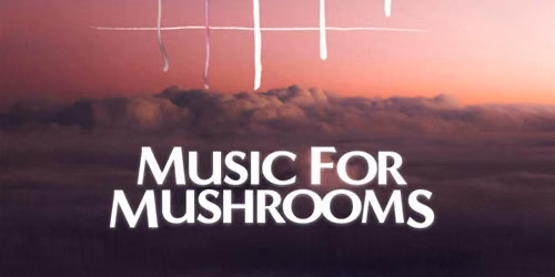 Music for Mushrooms: Immersive Sound Journey
