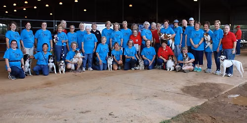 Five Flags Dog Training Club AKC Agility Trial