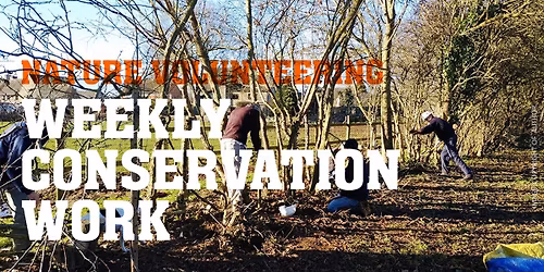 Scrub Removal at Wolfson College Water Meadows