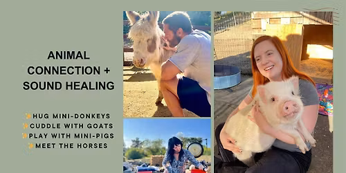 MEDITATING WITH ANIMALS : MEET MINI PIGS, GOATS, DONKEYS  + SOUND HEALING