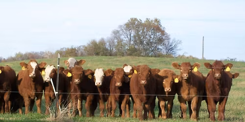 Small Business Saturday Sale