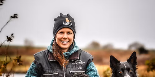 GRATIS hundens spr\u00e5k foredrag C (kommunikasjon mellom hunder og mennesker)