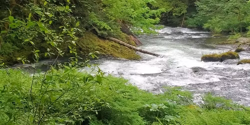 Sacred Circle Ecstatic Dance ~ Like A River