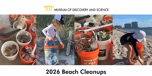 Beach Cleanup