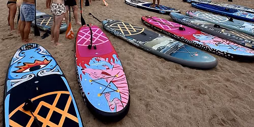PADDLE SURF EXPERIENCE