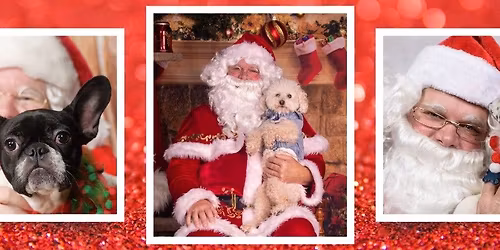Pet-Friendly Santa Photos at Korna Pet! 🎅🐾