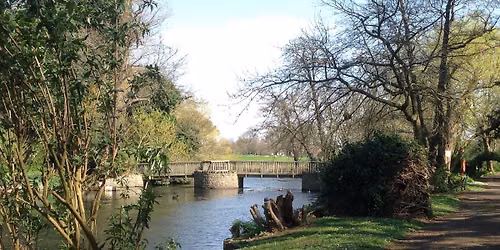 Tea in the Tarn - Fundraiser for Greenwich Wildlife Network
