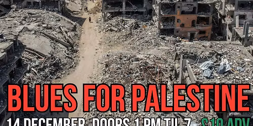 BLUES FOR PALESTINE: Kyla Brox Blues Train + Pat Fulgoni Blues Experience + supports in aid of MAP