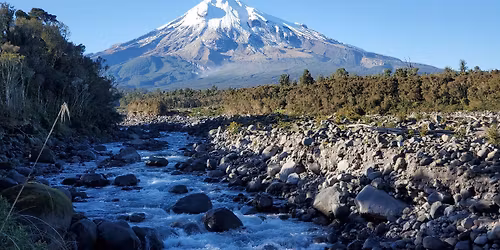 Working Bee @ Koru Farm