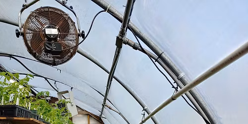 Early Bird Greenhouse Plant Sale